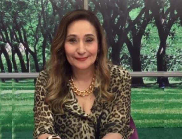 A apresentadora Sonia Abrão. (Foto: Reprodução/Instagram)