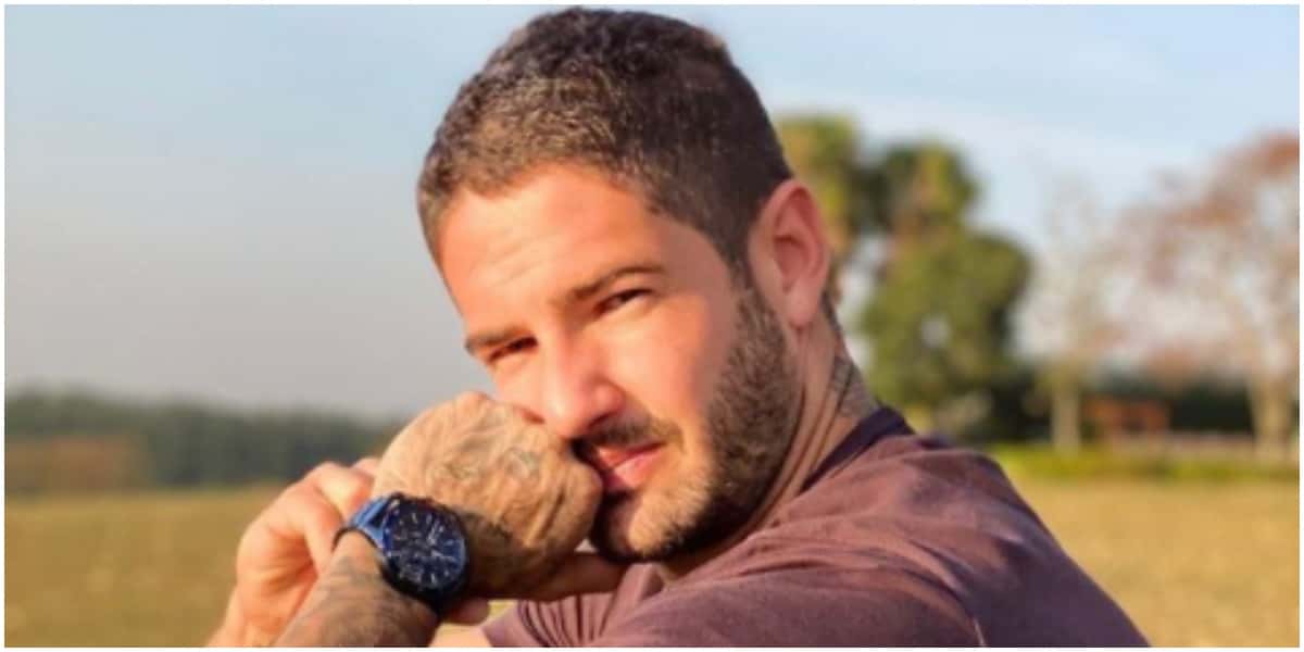 Pato se declarou para Rebeca Abravanel e recebeu pedidos de volta de torcedores (Foto: Reprodução)