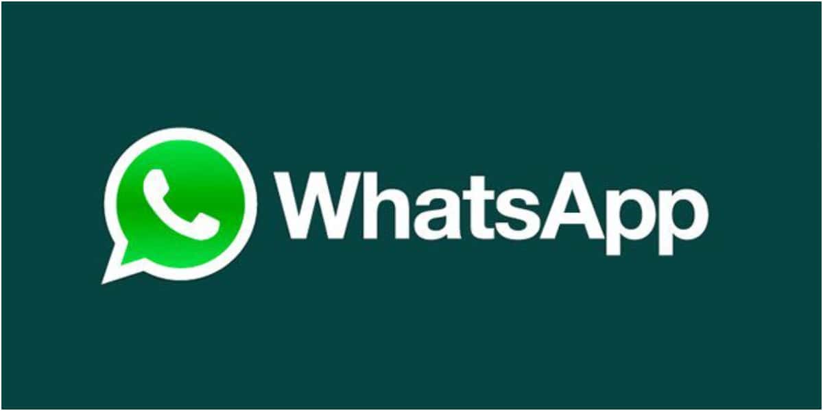 WhatsApp lança função de rastreamento (Foto: Reprodução)