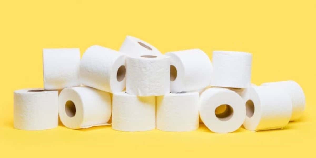 Rolos de papel higiênico (Foto:Reprodução/Freepik)