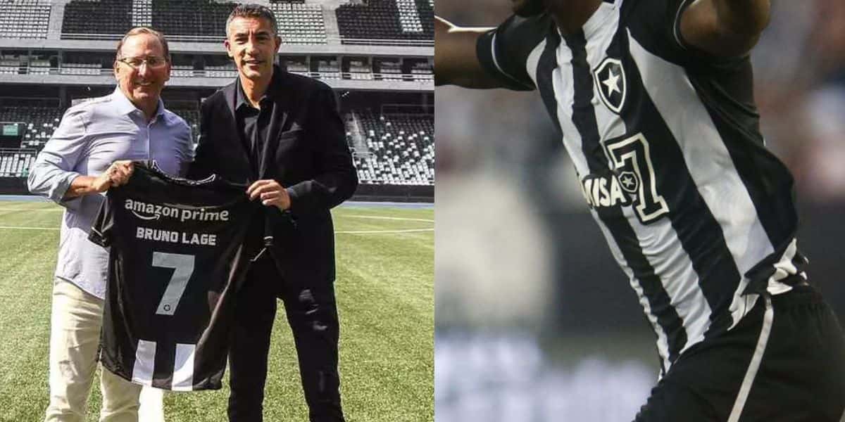 Montagem Tv Foco