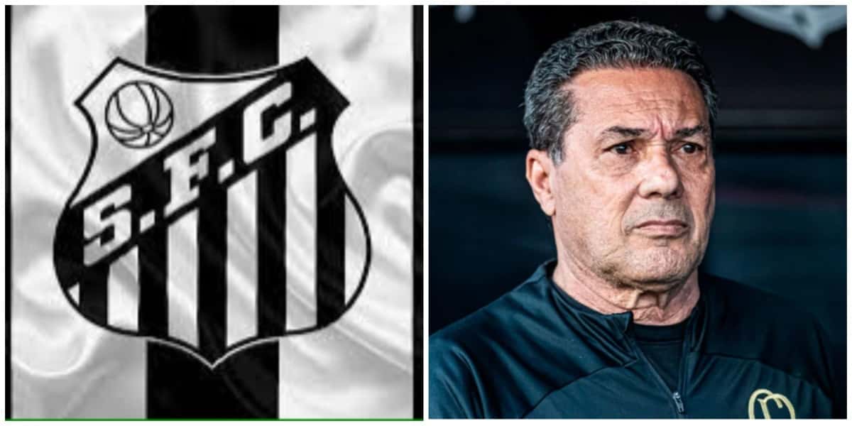 Santos e Luxemburgo - (Foto: Reprodução / Internet)