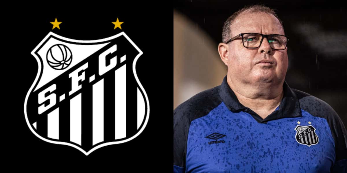 Marcelo Fernandes vai perder estrela do Santos (Foto: Divulgação)
