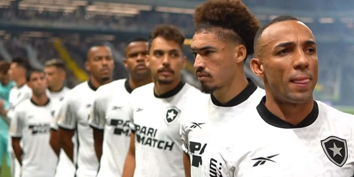Botafogo vai perder grandes jogadores (Foto: Divulgação)