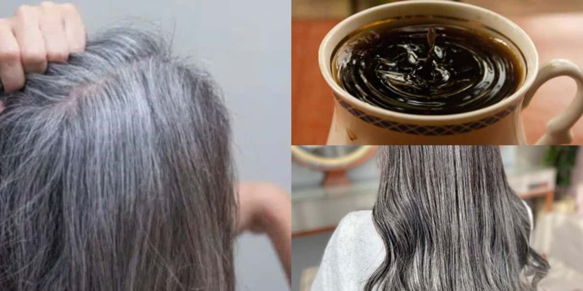 Receita caseira promete acabar com os cabelos grisalhos(Foto: Reprodução/ Montagem/Internet)
