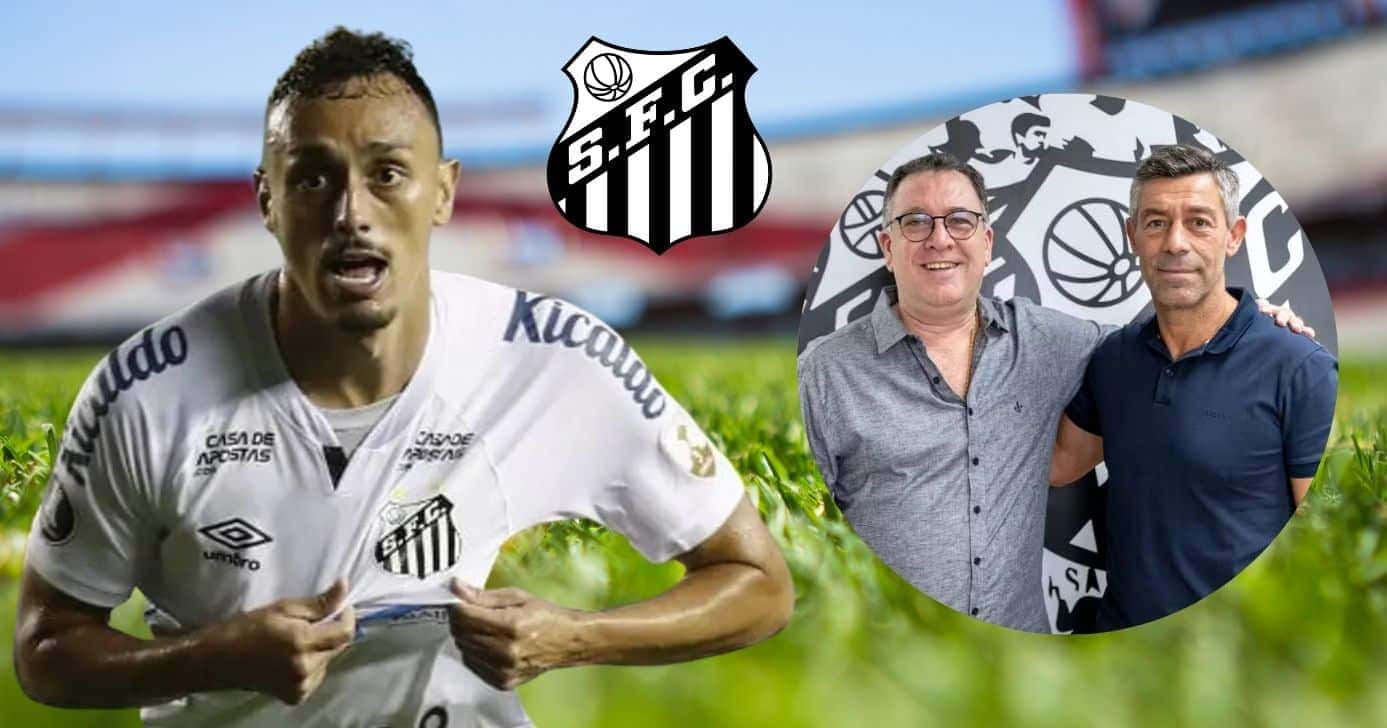 Pituca (Foto: Reprodução / Santos / Montagem TV Foco / Canva)
