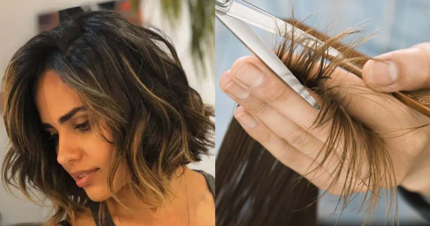 Corte de cabelo (Foto: Montagem)
