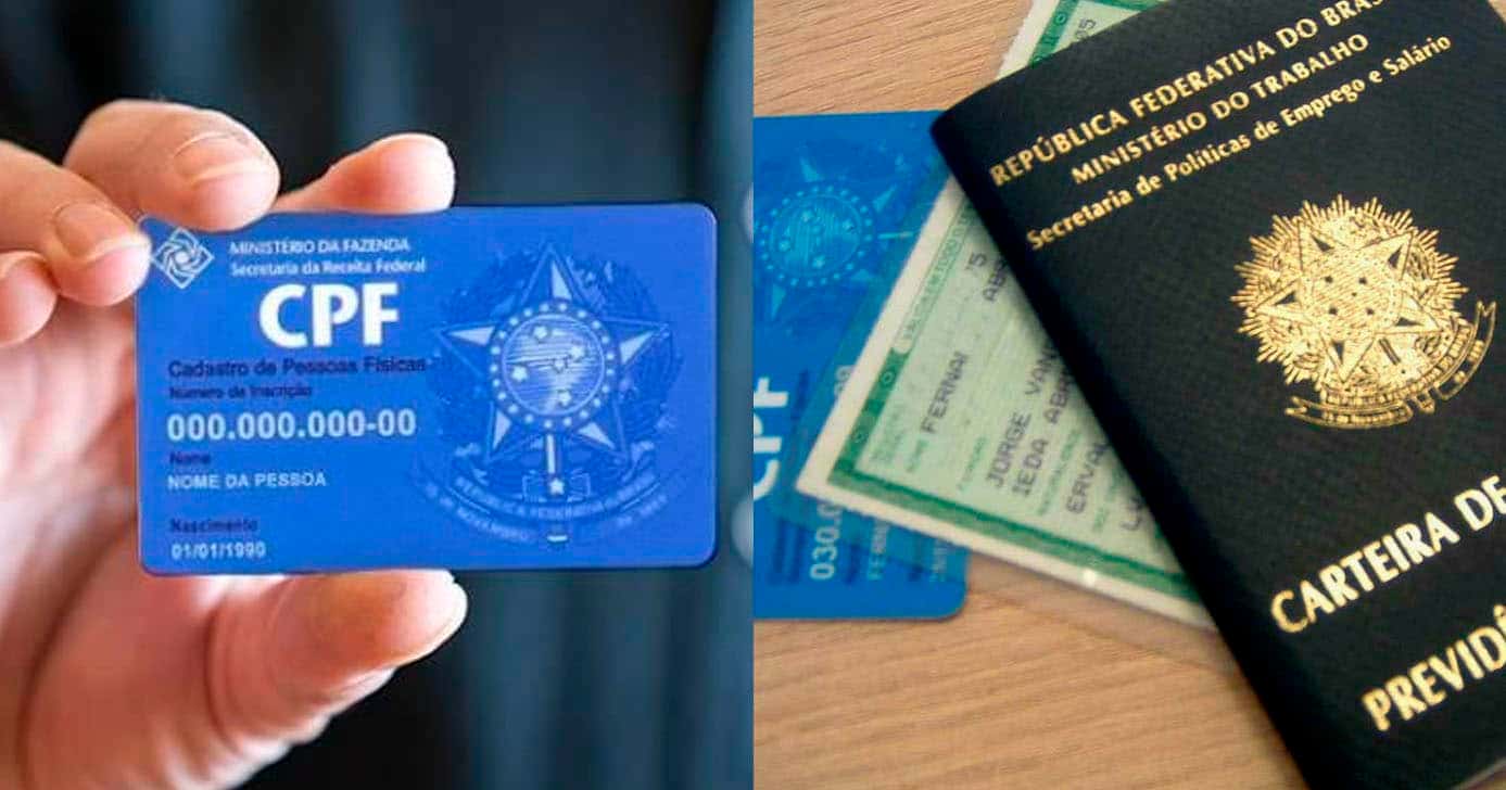 Documentos de identificação padrão (Foto Reprodução/Internet)