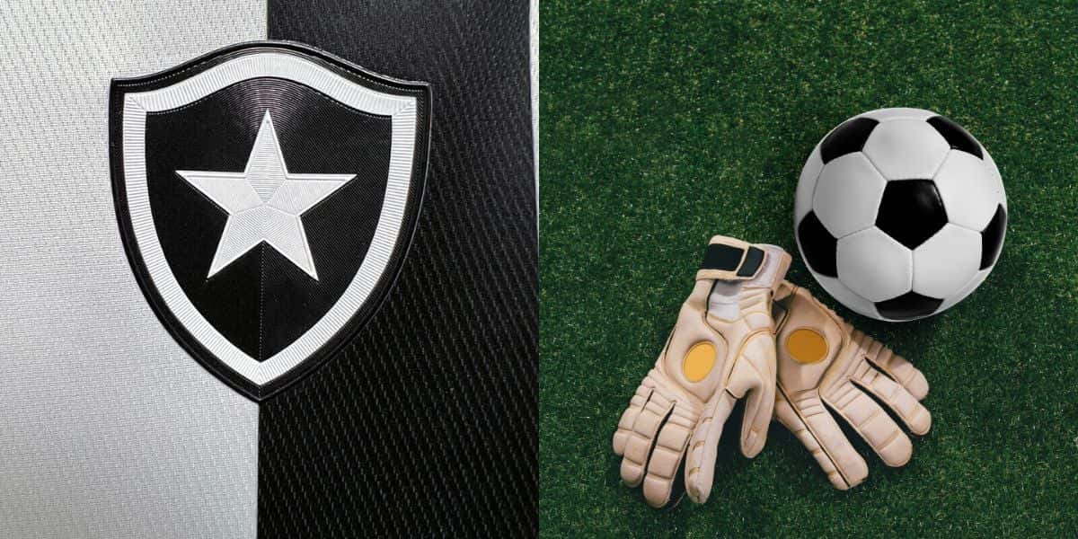 Botafogo perto de ter novo goleiro (Reprodução: Montagem TV Foco)