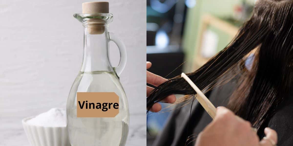Selagem capilar com vinagre para acabar com o frizz (Reprodução: Montagem TV Foco)