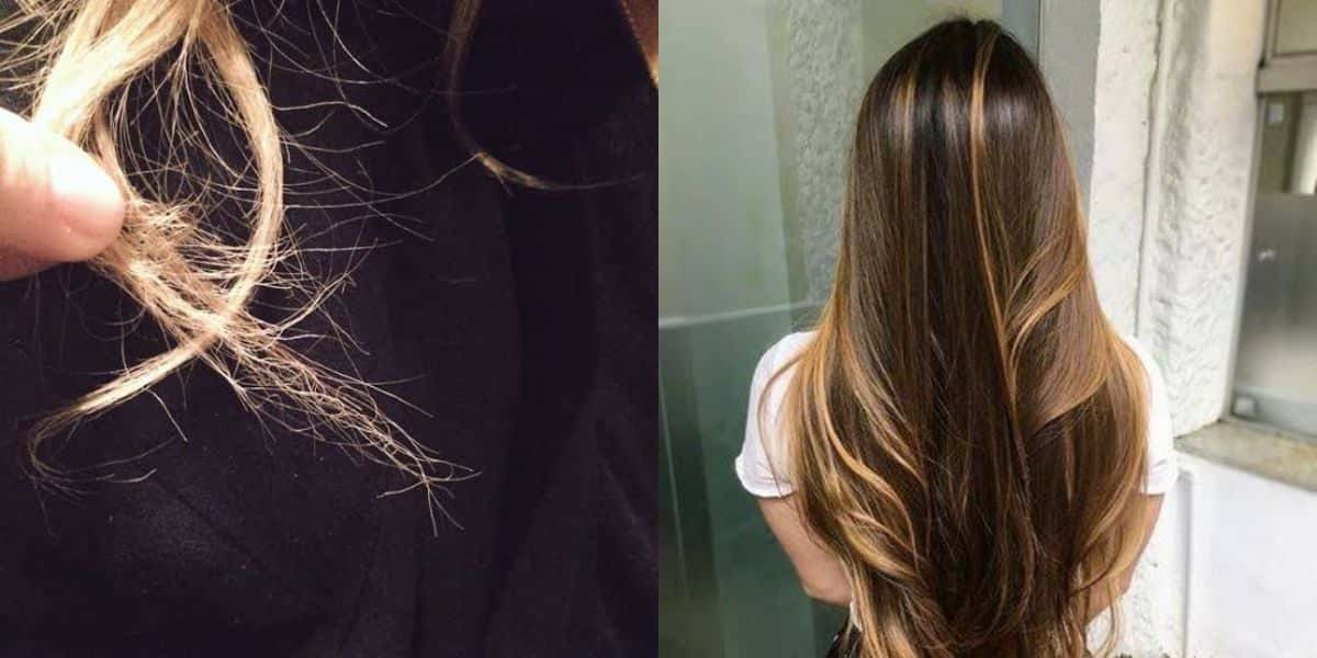 Fim do Cabelo de palha com dicas para hidratação dos fios (Reprodução: Montagem TV Foco)