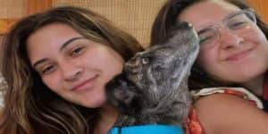 Imagem card com fundo