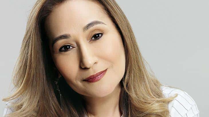 Sônia Abrão (Foto: Reprodução)