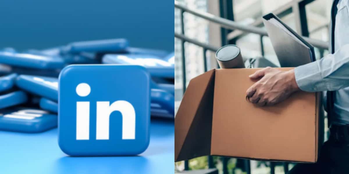 LinkedIn promove demissão em massa (Foto Reprodução/Montagem/Tv Foco)