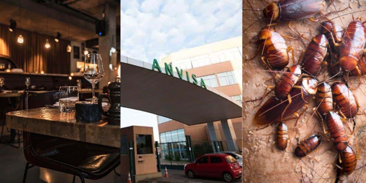 Anvisa fechou restaurante e supermercado em SP (Foto: Reprodução/ Internet)