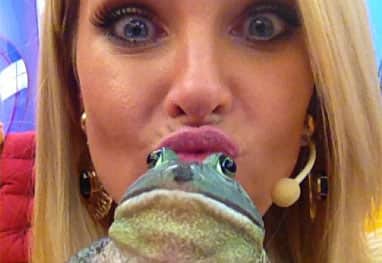 ana hickmann sapo ana hickmann sapo