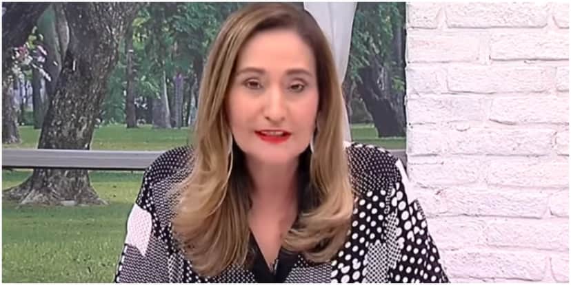 Sonia Abrão desmascarou Boninho ao vivo - Foto: Reprodução Sonia Abrão desmascarou Boninho ao vivo - Foto: Reprodução
