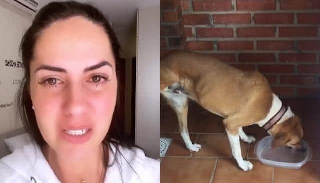 Graciele Lacerda apareceu aos prantos nas redes sociais (Foto: Reprodução / Instagram) Graciele Lacerda apareceu aos prantos nas redes sociais (Foto: Reprodução / Instagram)