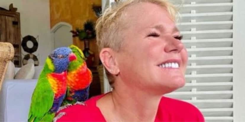 Apresentadora Xuxa Meneghel - Reprodução Instagram Apresentadora Xuxa Meneghel - Reprodução Instagram