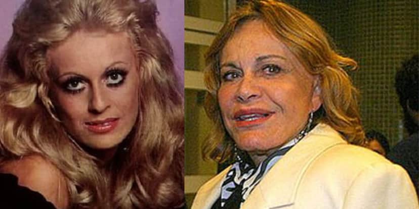 Darlene Glória fez grande sucesso nas décadas de 60 e 70, mas hoje não quer atuar (Reprodução: Montagem TV Foco)