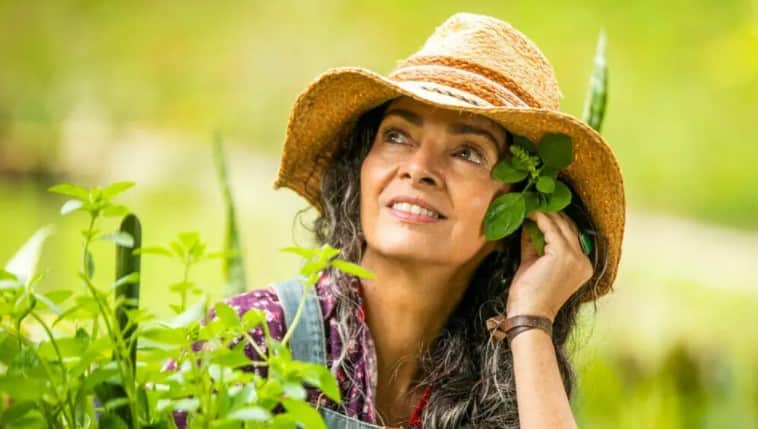 http://tvfoco.uai.com.br/wp-content/uploads/2015/05/Daniela-Mercury.jpg