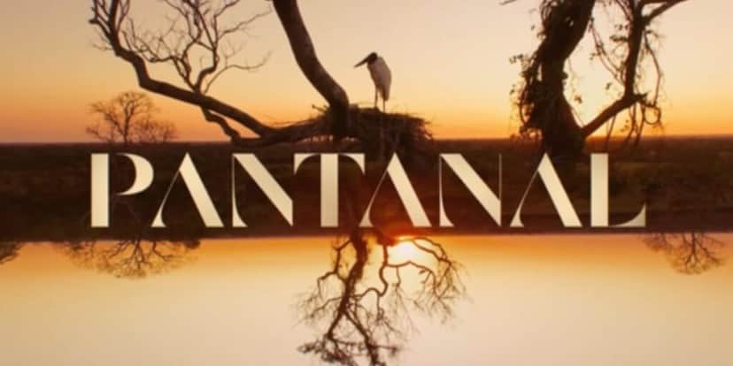 Logo da novela Pantanal (Reprodução: Globo) Logo da novela Pantanal (Reprodução: Globo)