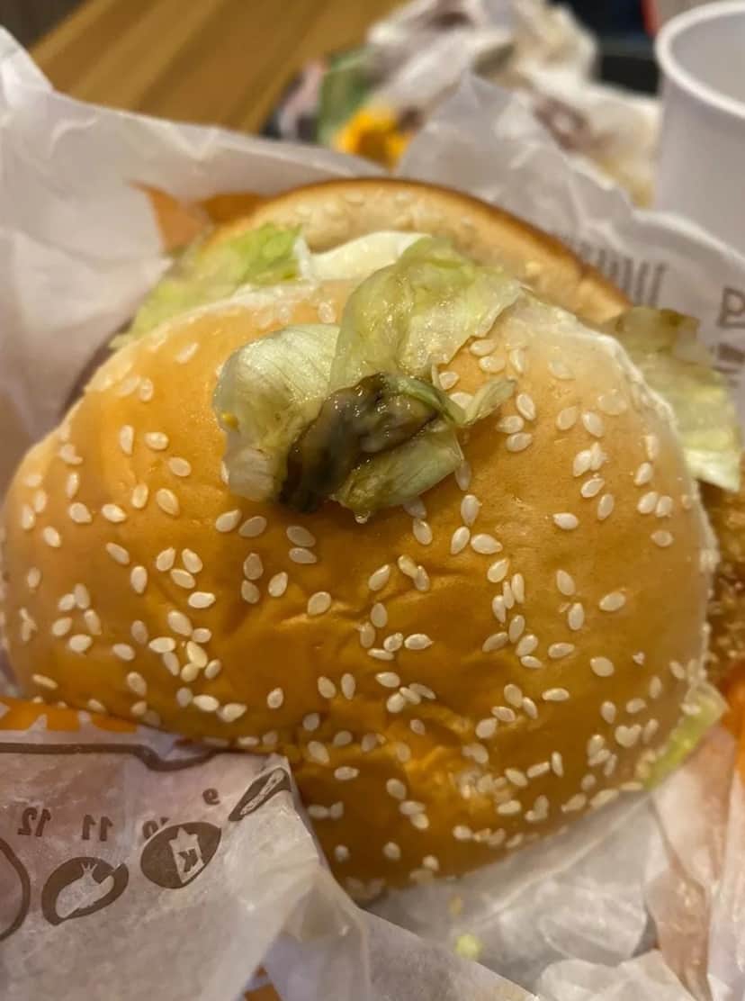 Lesma encontrada em um dos lanches do Burger King (Foto: Walif Silva) Lesma encontrada em um dos lanches do Burger King (Foto: Walif Silva)