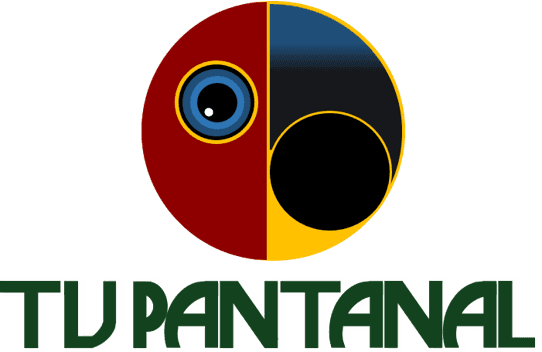 TV Pantanal - Foto Reprodução Internet TV Pantanal - Foto Reprodução Internet