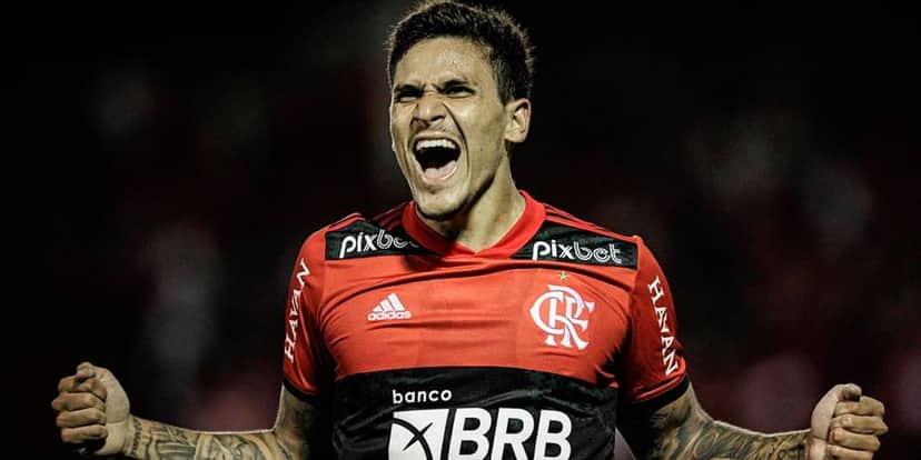 Pedro - Foto: Reprodução 