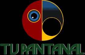TV Pantanal - Foto Internet TV Pantanal - Foto Internet