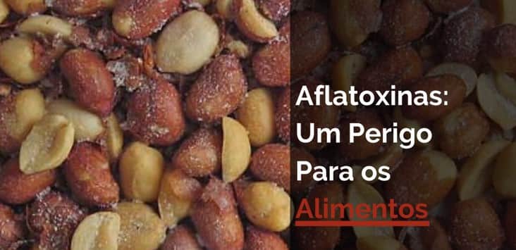 Aflatoxina provoca riscos à saúde (Foto: Reprodução / Canva) Aflatoxina provoca riscos à saúde (Foto: Reprodução / Canva)