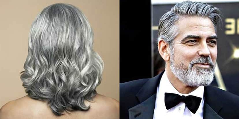http://tvfoco.uai.com.br/wp-content/uploads/2015/05/Daniela-Mercury.jpg http://tvfoco.uai.com.br/wp-content/uploads/2015/05/Daniela-Mercury.jpg