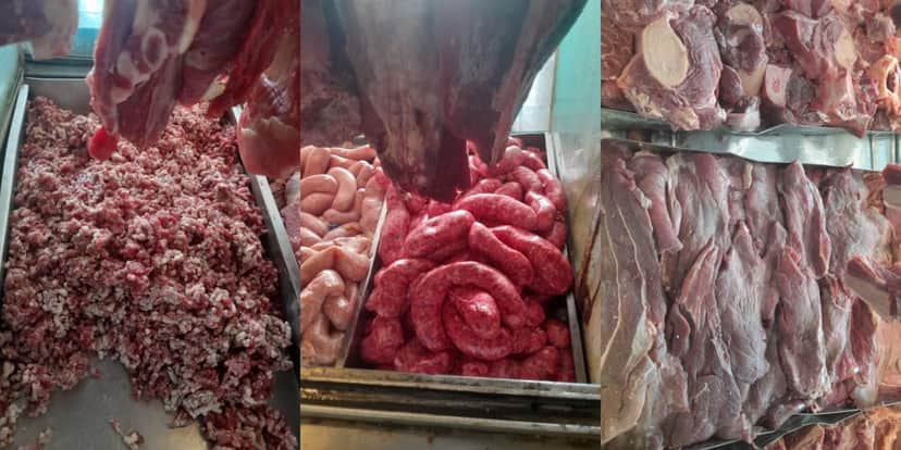 Anvisa encontrou carne podre (Foto: Divulgação) Anvisa encontrou carne podre (Foto: Divulgação)