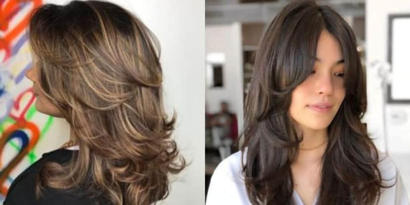 http://tvfoco.uai.com.br/wp-content/uploads/2015/05/Daniela-Mercury.jpg http://tvfoco.uai.com.br/wp-content/uploads/2015/05/Daniela-Mercury.jpg