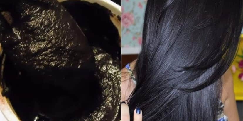 Chá preto cobre todos os fios brancos e grisalhos (Foto Reprodução/Montagem/Tv Foco/Lennita/Canva/YouTube) Chá preto cobre todos os fios brancos e grisalhos (Foto Reprodução/Montagem/Tv Foco/Lennita/Canva/YouTube)