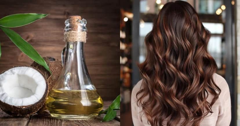 Óleo de coco para revitalizar o cabelo (Foto: Divulgação) Óleo de coco para revitalizar o cabelo (Foto: Divulgação)