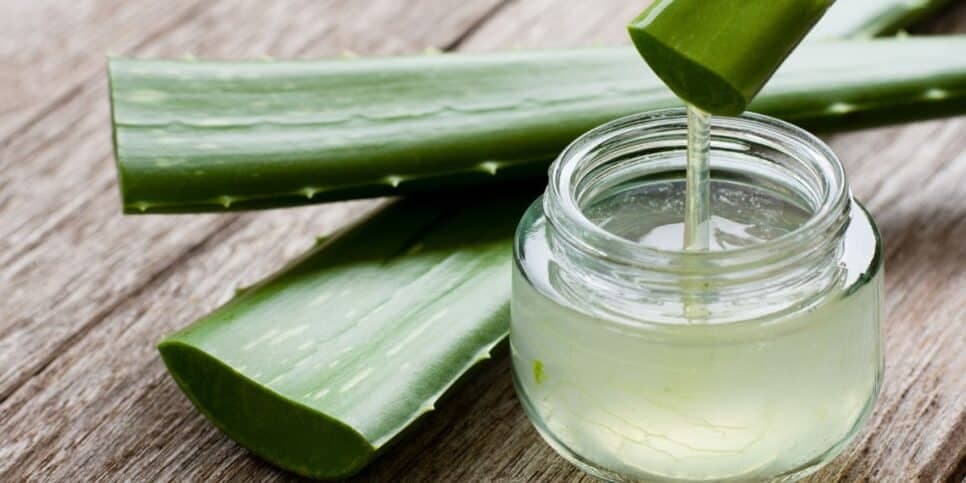 Cabelo, Aloe Vera, Babosa Cabelo, Aloe Vera, Babosa