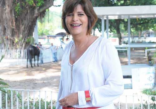 Saiba tudo sobre o trabalho de Cristianne Fridman, autora de "Vitória"