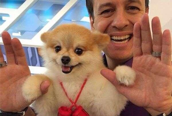 Imagem do post Imagem do post