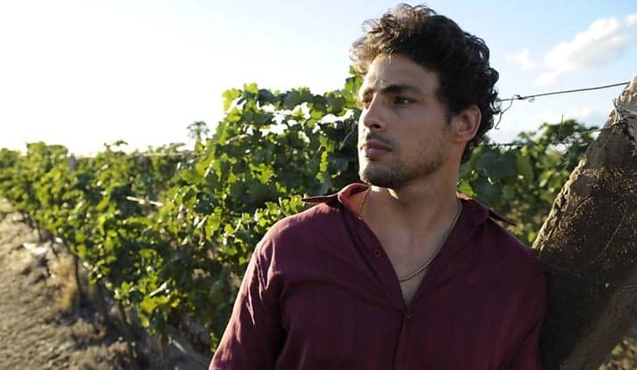 Emissora muda perfil do protagonista da versão internacional de Amores Roubados