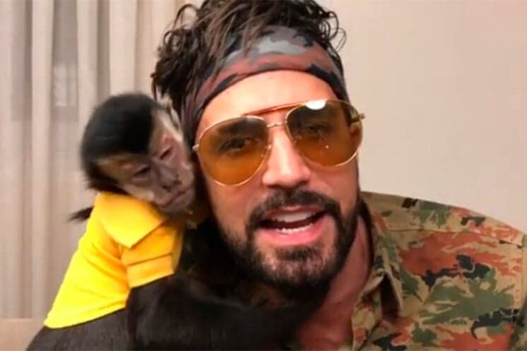 Latino adquire novo macaco-prego, após morte brutal do primeiro