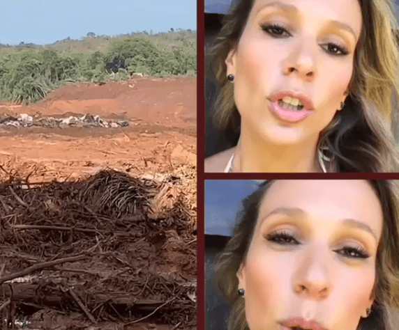Imagem do post Imagem do post