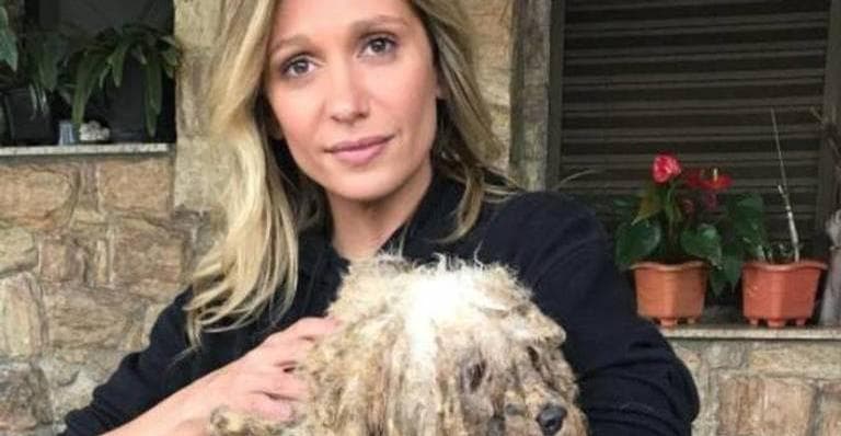 Luisa Mell é acusada de espalhar fake news após fazer críticas ao sacrifício animal na umbanda: "Mata e destrói vidas"