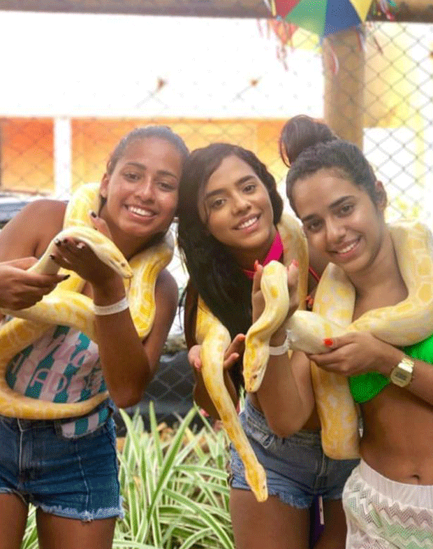 Imagem do post Imagem do post