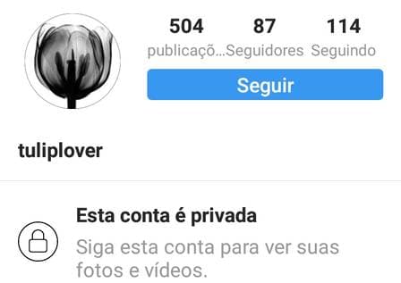 Imagem do post Imagem do post