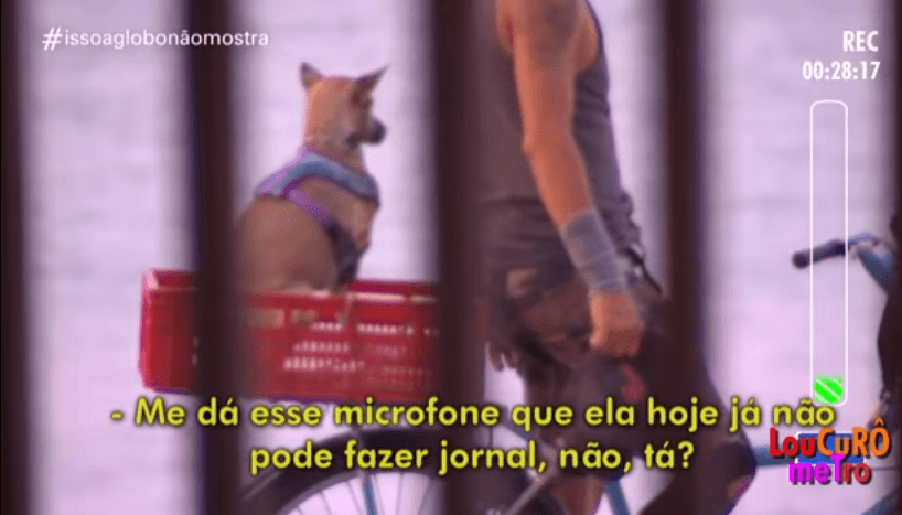 Imagem do post Imagem do post