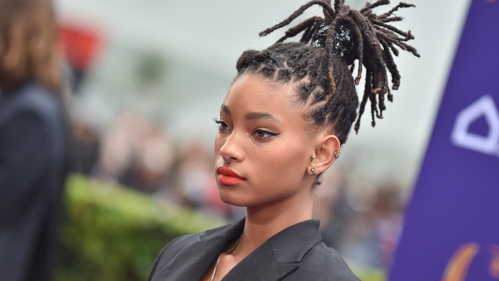 Willow Smith disse que queria que seus pais se separassem (Foto: Reprodução) Willow Smith disse que queria que seus pais se separassem (Foto: Reprodução)