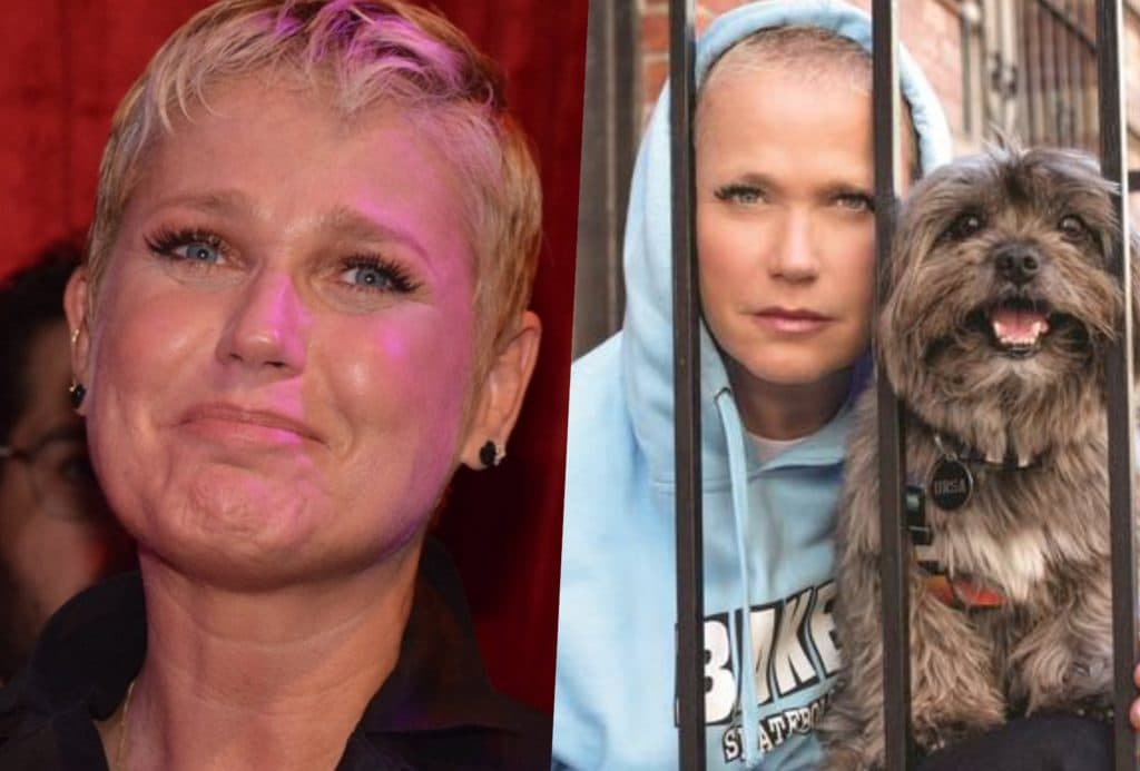 Xuxa fala do uso de maconha da filha Sasha, é detonada, deixa o Brasil e se revolta: "Invejada pelos idiotas"