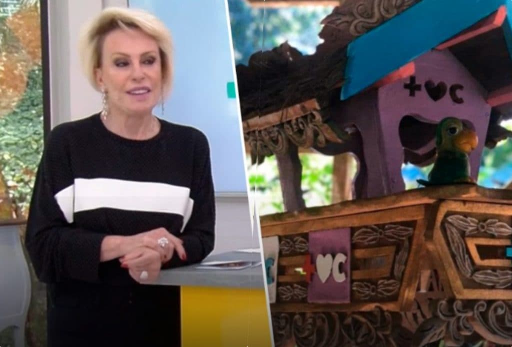 Ana Maria Braga nega ter recusado presente de fã e esclarece polêmica