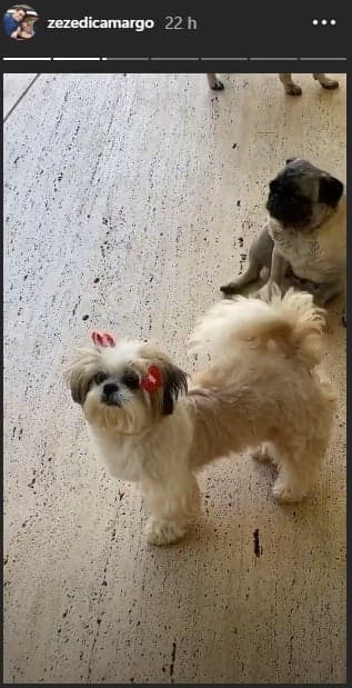 Imagem do post Imagem do post